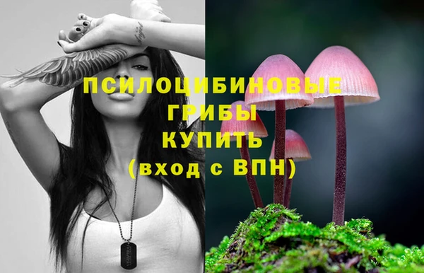 скорость Белокуриха