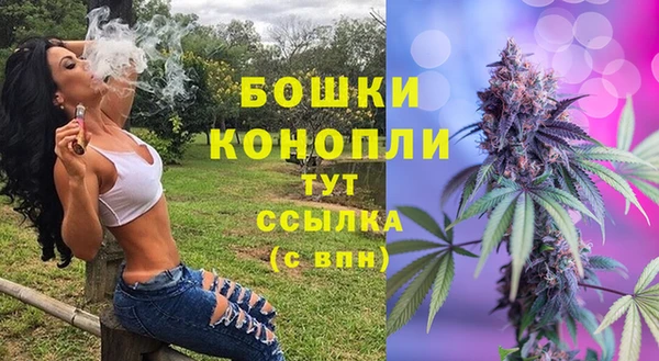 амф Беломорск