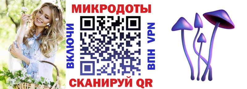 дарк нет наркотические препараты  Болотное  Псилоцибиновые грибы GOLDEN TEACHER 
