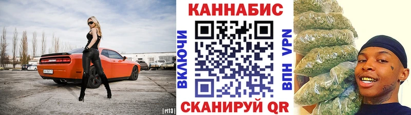Бошки марихуана план  мориарти официальный сайт  Болотное  мега рабочий сайт 